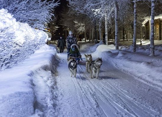 Фестиваль ледовых скульптур «Зазеркалье Корнея Чуковского»