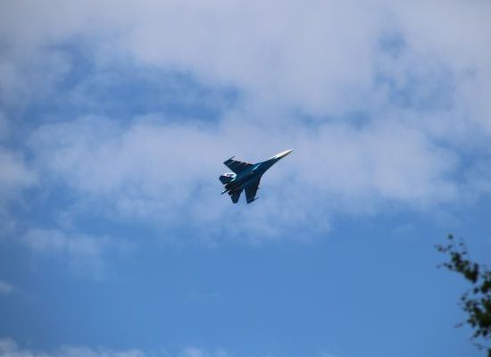 IMG_8398.JPG