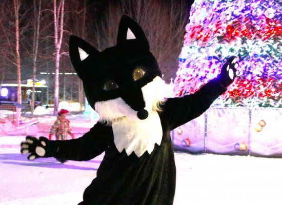 IMG_3384.JPG