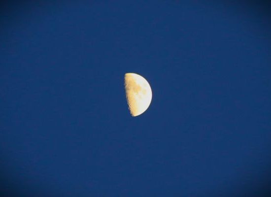 IMG_6697.JPG
