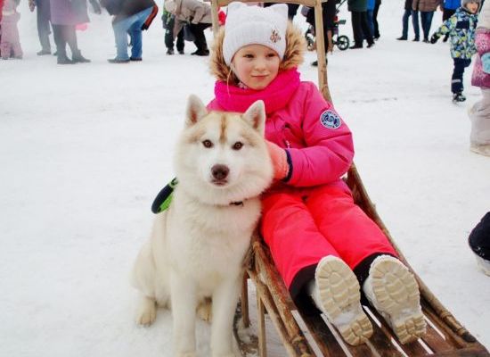 9293_proschay-maslenitsa.jpg